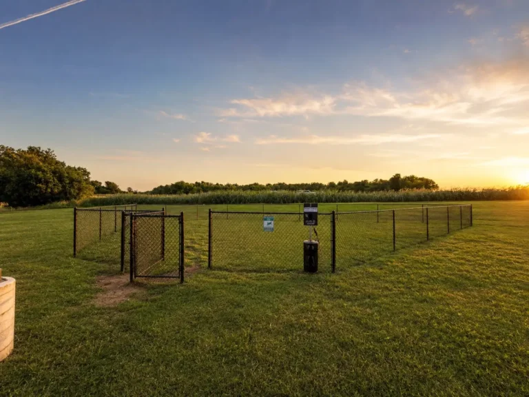 Dog Park